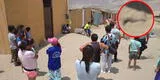 Áncash: hallan pierna de un niño siendo devorado por perros en Chimbote [VIDEO]