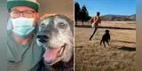 Hombre rescata a perro adulto para que no muera solo: “Tiene cáncer y no podía caminar” [VIDEO]