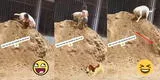 Perrito y niña juegan a escarbar la arena juntos pero ocurre lo impensado y usuarios reaccionan: "Eso es infancia" [VIDEO]
