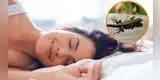 ¿Qué significa soñar con lagartijas?