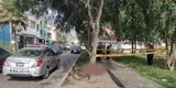 La Victoria: Vecinos hallan cuerpo de una persona sin vida en medio de un parque [VIDEO]