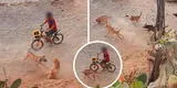 VMT: perrito se enfrenta a una jauría de seis canes para defender a su dueño acorralado [VIDEO]