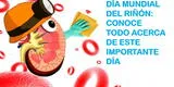 Día mundial del Riñon 2022: todos los síntomas que debes reconocer para evitar la enfermedad