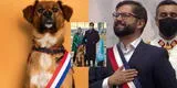 "Por los derechos": la mascota del nuevo presidente de Chile también asume el mando y se compromete con los suyos [FOTOS]