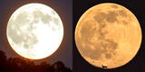 NASA: Así se vio la Luna de Gusano de marzo 2022