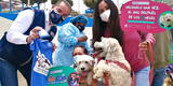 ¡Perritos felices y sin rabia! Minsa inició campaña de vacunación antirrábica canina gratuita: “Van Can”