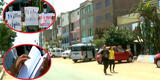 Callao: Hombre recibió 500 fotopapeletas por estacionar su vehículo afuera de su casa [VIDEO]