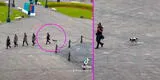 Perrito acompaña a policías en Plaza de Armas y se forma como un oficial más [VIDEO]