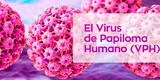 Conoce cuatro mitos sobre el virus del papiloma humano que deben erradicarse