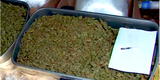 San Luis: Policía Nacional encuentra más 96 kilos de marihuana en un local de carga