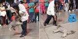 Perrito se hace el "muerto" en pleno show callejero junto a su dueño y escena enternece en TikTok