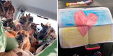 Mujer rescata 50 perritos ucranianos mientras huye de la guerra en su carro [FOTOS]