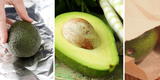 Los mejores trucos para hacer madurar una palta