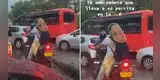 Señora lleva a su perrito como copiloto en su moto y tierno video se hace viral [VIDEO]