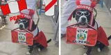 Perrito se disfrazó de hincha peruano para celebrar que Perú va al repechaje y escena es viral en TikTok