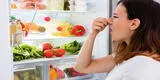 ¿Cómo limpiar la refrigeradora?: trucos caseros para quitar el mal olor