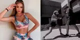 Sheyla Rojas la rompe en las redes con video practicando box [VIDEO]