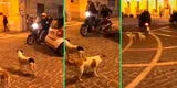 Motociclista crea plan para que perritos no lo muerdan, pero canes no se dejaron engañar [VIDEO]