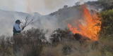 Arequipa: se registran incendios forestales en las faldas del volcán Misti