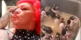 Mujer utiliza su lavadero para bañar a sus 50 ratas que tiene como mascotas: "Tienen buen temperamento" [VIDEO]