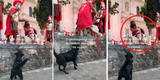 Perrito callejero defiende a hombre que era azotado por soldados romanos que escenificaban el viacrucis en la calle
