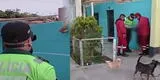 “Ya perdí”: Niño de 9 años es detenido tras trepar casa en Huacho para robar bicicleta [VIDEO]