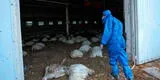 Gripe aviar: así puedes reconocer los síntomas de la nueva cepa H3N8