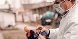 Detectan el primer caso de gripe aviar H3N8 en humanos en China y se enciende alerta mundial [FOTO]