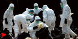 Gripe aviar (H3N8): ¿Es peligrosa la cepa que contagió a un niño?