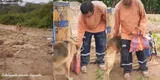 Perrito recorre el campo para llevar el desayuno a su dueño mientras trabaja y escena conmueve: "Lindo gesto" [VIDEO]
