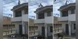 Su pareja estaba afuera de su vivienda, pero hace lo impensado y singular escena es viral en TikTok [VIDEO]