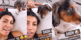 Diana Sánchez emocionada con su nuevo engreído: "Su nombre es Dash"