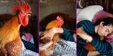 Adopta un gallo como mascota y utiliza peculiar método para que no lo despierte [VIDEO]