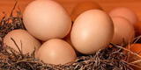 ¿Qué significa soñar con huevos podridos?