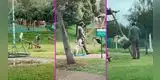 Adulto mayor lleva a su perrito a jugar al parque de niños y tierna escena es viral [VIDEO]