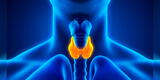 COVID-19: alteraciones de la tiroides aumentaron a causa de infección por el nuevo coronavirus