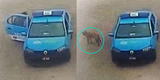 Magdalena: Serenos suben perros a vehículo municipal y los abandonan en la Costa Verde [VIDEO]