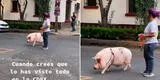 Pasea a su chanchito en las calles como un perrito y escena es viral [VIDEO]