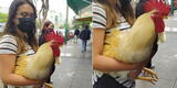 Captan a joven cargando a su gallo en plena calle de Jesús María y su singular mascota se vuelve viral