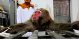 Viruela del mono: Conoce qué personas deben estar alerta para evitar contagios