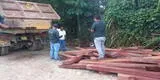 Ucayali: incautan cerca de 18 mil metros cúbicos de madera ilegal