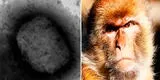 México detecta primer caso de viruela del mono en CDMX [FOTO]
