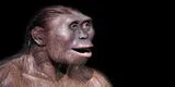 La evolución de la humanidad: ¿Cuáles son las características de los Australopithecus?