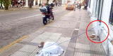 Perrito enfermo fue atado y abandonado en plena vía pública por dos días en Bolivia: "No se puede ser tan indiferente" [FOTO]
