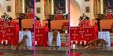Perrito se mete a una iglesia, se roba el pan de la misa y sale sin que lo noten: “Ya no va al cielo” [VIDEO]