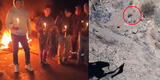 Arequipa: hallan a otros 7 mineros muertos y cifra de fallecidos sube a 14