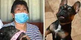 "Dormía conmigo": falsa veterinaria provoca muerte de perrita que dio a luz tras ser atendida por estudiante