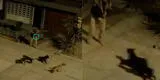 Ate: Hombre le dispara a cuatro perros y vecinos presumen que sea un delincuente [VIDEO]