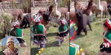 Gianluca Lapadula: sus hijas querían alimentar a alpacas y pasan tremendo susto: “¡Corre!” [VIDEO]