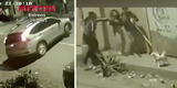 Los Olivos: pareja sale a pasear a su perrito y son asaltados por hampones en lujosa camioneta